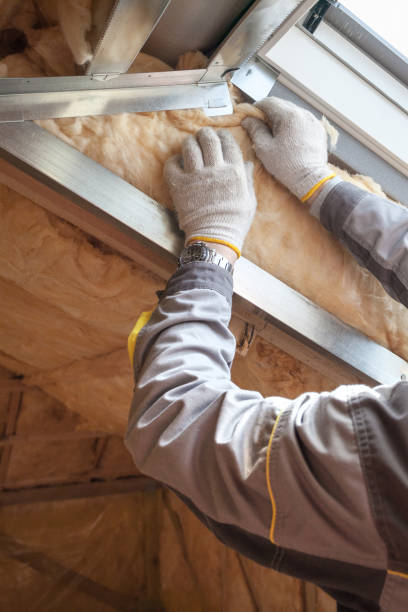 Best Insulation Maintenance and Repair in Brisbane, CA