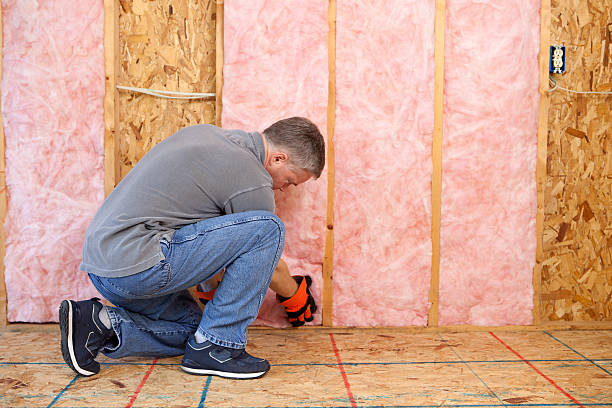 Best Insulation Installation Services in Brisbane, CA